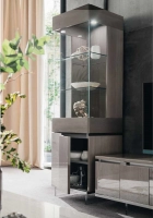 Athena Single Door Curio